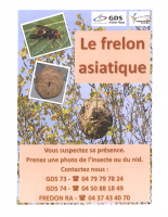 Affiche Frelon-pdf